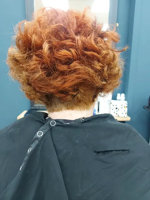 Copper curly crop colour and cut